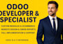 fix customize develop odoo open erp system module crm website design